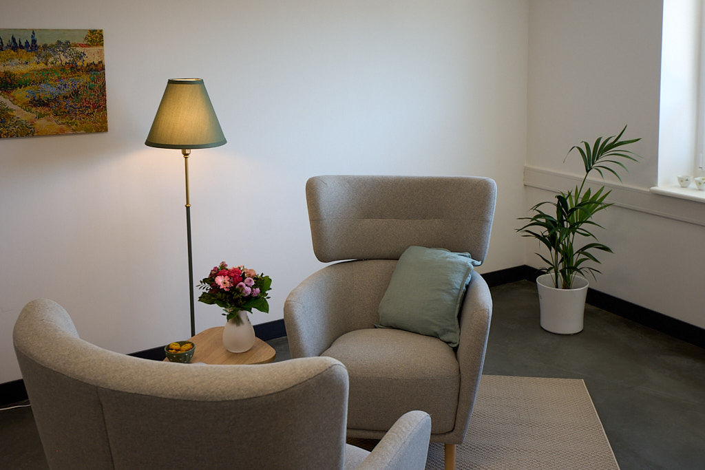 Foto aus der Praxis mit zwei sich zugewandt stehenden Sesseln. Im Hintergrund ein Bild, eine Stehlampe und eine Palme.